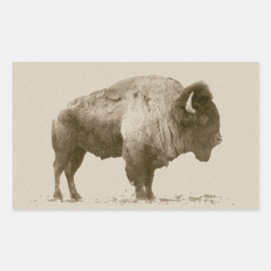 Plains Bison Rechthoekige Sticker (Voorkant)