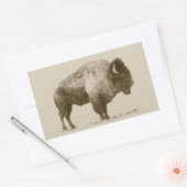 Plains Bison Rechthoekige Sticker (Envelop)