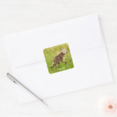 Plains Coyote Wildlife Animal Art Vierkante Sticker (Envelop)