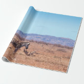 Plains zebra in het Nationaal Park Kruger in Zuid- Cadeaupapier (Uitgerold)
