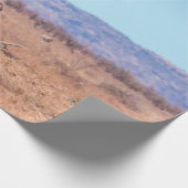 Plains zebra in het Nationaal Park Kruger in Zuid- Cadeaupapier (Hoek)