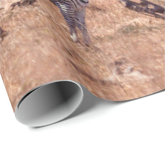 Plains zebra in het Nationaal Park Kruger in Zuid- Cadeaupapier (Rol Hoek)