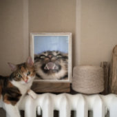 Plaintive Meow a Tabby Cat Acrylf Painting Poster