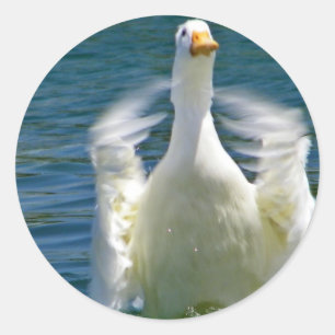 plak ronde sticker