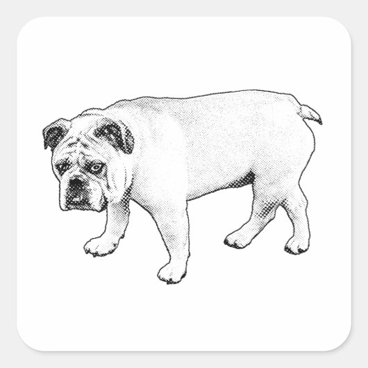 Plakbare glimlach, grafische Pup Vierkante Sticker (Voorkant)