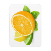 Plakjes citrusvruchten magneet (Verticaal)