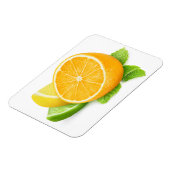 Plakjes citrusvruchten magneet (Linkerzijde)