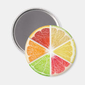 Plakjes citrusvruchten magneet (Voorkant / Achterkant)
