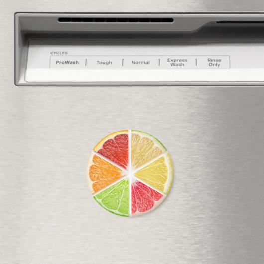 Plakjes citrusvruchten magneet (Insitu (Vaatwasser))