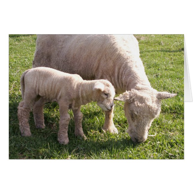 Plakken Sluiten (Voorkant Horizontaal)