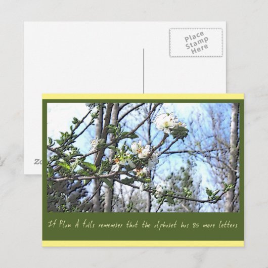 Plan A Briefkaart (Voorkant / Achterkant)