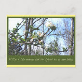 Plan A Briefkaart (Voorkant)