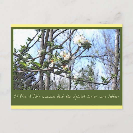 Plan A Briefkaart (Voorkant)