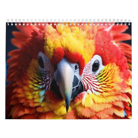 "Plan uw jaar vooruit: Introductie van onze 2024-k Kalender (Hoes)