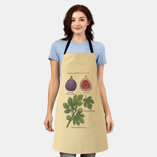 Planche Botanique Figue Ficus Carica  Schort (Gedragen)