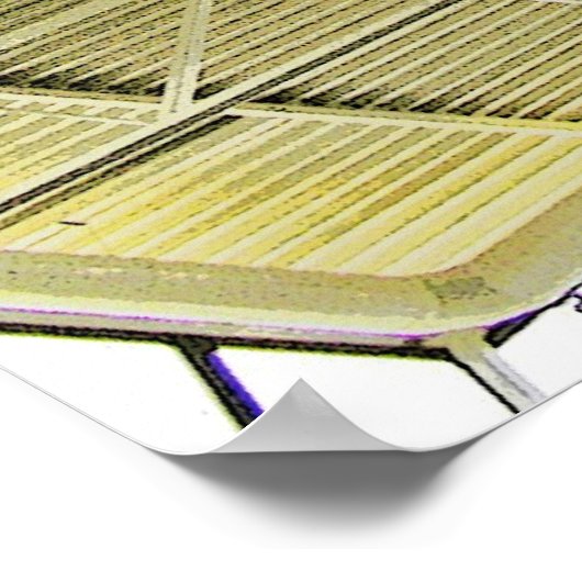 Plane Ceiling? (1) Poster (Hoek)