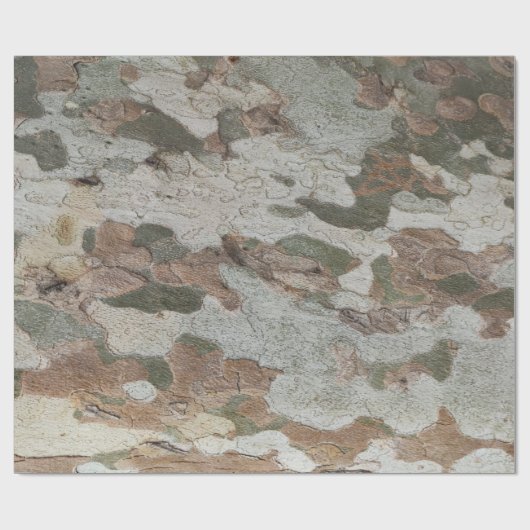 Plane tree camouflage looks bark pattern cadeaupapier (Vlak)