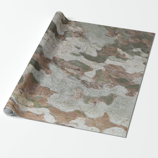 Plane tree camouflage looks bark pattern cadeaupapier (Uitgerold)