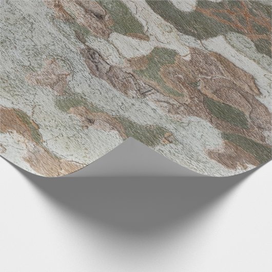 Plane tree camouflage looks bark pattern cadeaupapier (Hoek)