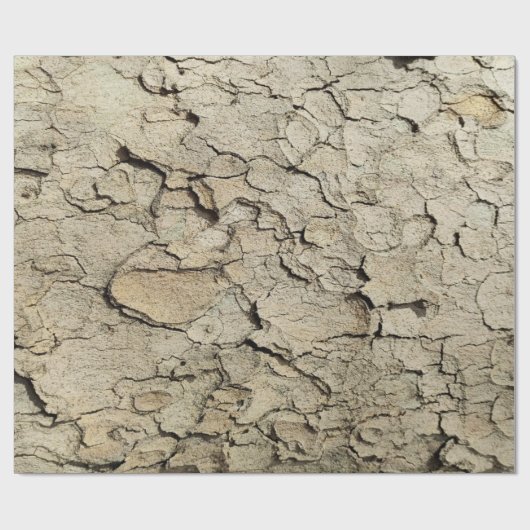 Plane tree camouflage looks bark pattern wrapping cadeaupapier (Vlak)