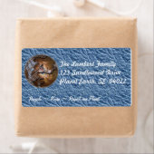 Planet Earth Etiket (Insitu)