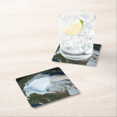 Planet Earth met Zee-ijsdekking in 1980. Kartonnen Onderzetters (Insitu)