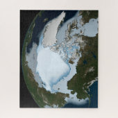 Planet Earth met Zee-ijsdekking in 1980. Legpuzzel (Verticaal)