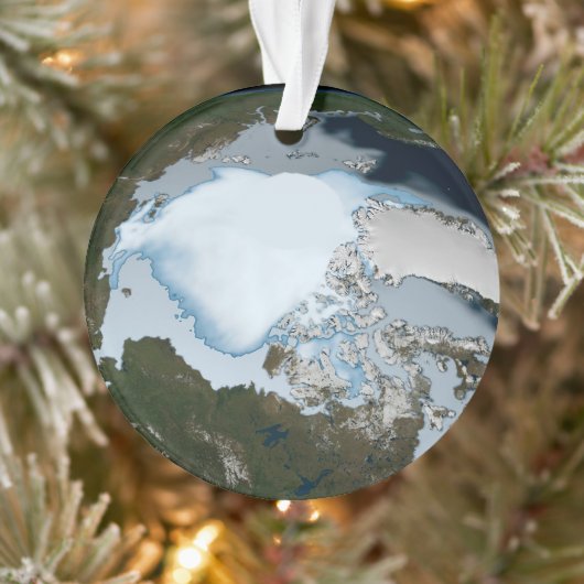 Planet Earth met Zee-ijsdekking in 1980. Ornament (Boom)