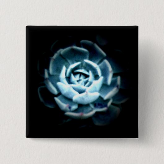 Planet Echeveria 2 Button (Voorkant)