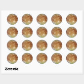 PLANET JUPITER MOON EUROPA (zonnestelsel) ~ Ronde Sticker (Vel)