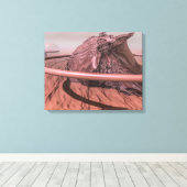 Planet Mars Canvas Afdruk (Insitu (Houten vloer))