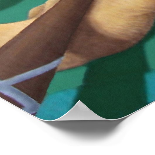 Planet Pool Poster (Hoek)