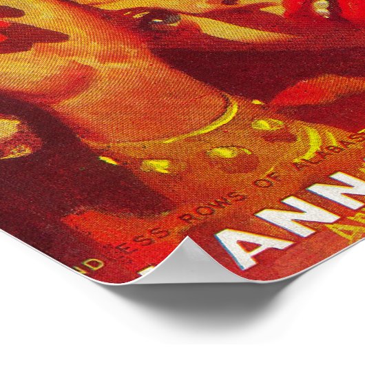 Planet Stories Magazine Hoesje 7 Poster (Hoek)