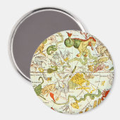 Planisphæri Coeleste 1698 - Astrologie grafiek #1 Magneet (Voorkant / Achterkant)