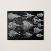 Plankton Shells in Black and White (Cyrtoidea) Legpuzzel (Horizontaal)