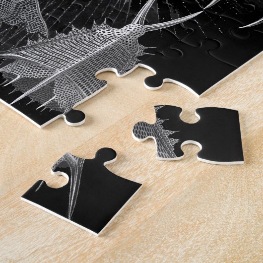 Plankton Shells in Black and White (Cyrtoidea) Legpuzzel (Zijkant)