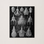 Plankton Shells in Black and White (Cyrtoidea) Legpuzzel (Verticaal)