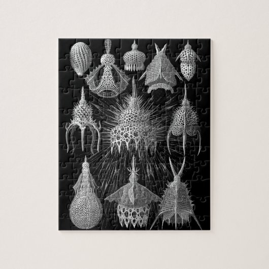 Plankton Shells in Black and White (Cyrtoidea) Legpuzzel (Verticaal)