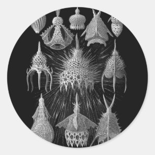 Plankton Shells in Black and White (Cyrtoidea) Ronde Sticker