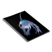 Planktonische schaaldieren notitieboek (Rechterzijde)