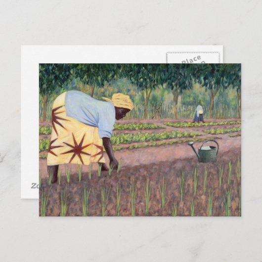 Plannen van uien 2005 briefkaart (Voorkant / Achterkant)