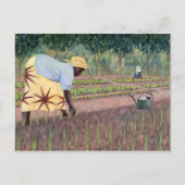 Plannen van uien 2005 briefkaart (Voorkant)