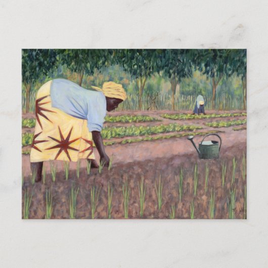 Plannen van uien 2005 briefkaart (Voorkant)