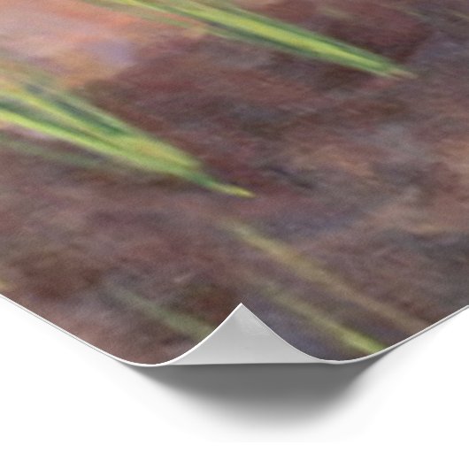 Plannen van uien 2005 poster (Hoek)