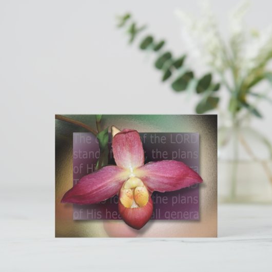 Plannen van zijn hart briefkaart (Staand voorkant)