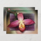 Plannen van zijn hart briefkaart (Voorkant / Achterkant)