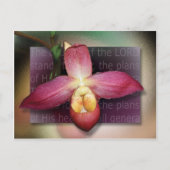 Plannen van zijn hart briefkaart (Voorkant)