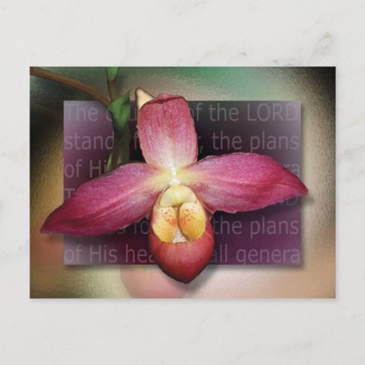 Plannen van zijn hart briefkaart (Voorkant)