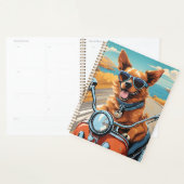 Planner (Display)