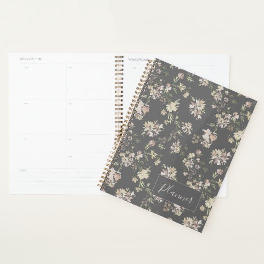 Planner (Display)